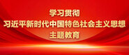 狂操白虎逼美女学习贯彻习近平新时代中国特色社会主义思想主题教育_fororder_ad-371X160(2)